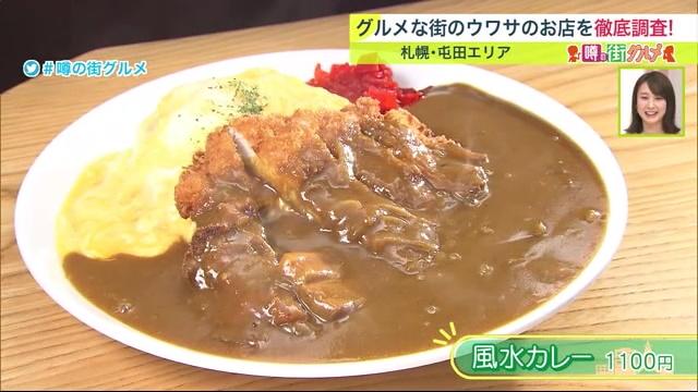 札幌　屯田　グルメ　みんテレ　カレーの準泰