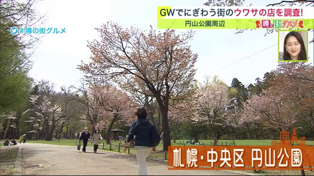 円山公園　桜