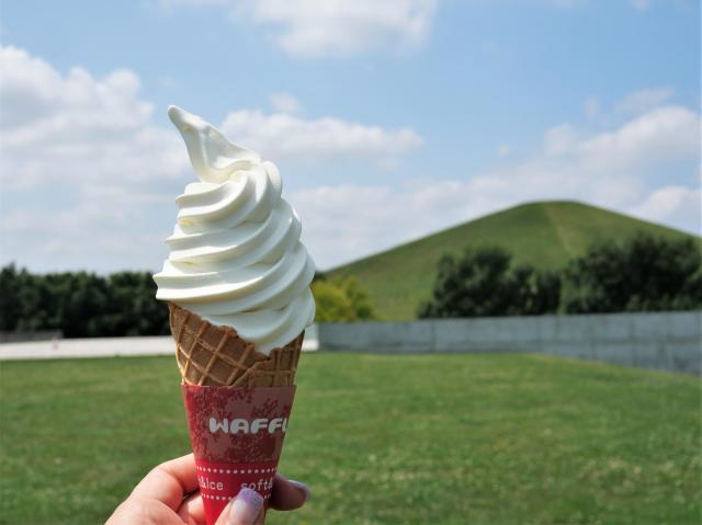 panier　モエレ沼公園　ソフトクリーム