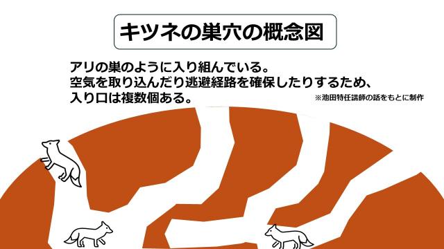 キツネの巣穴