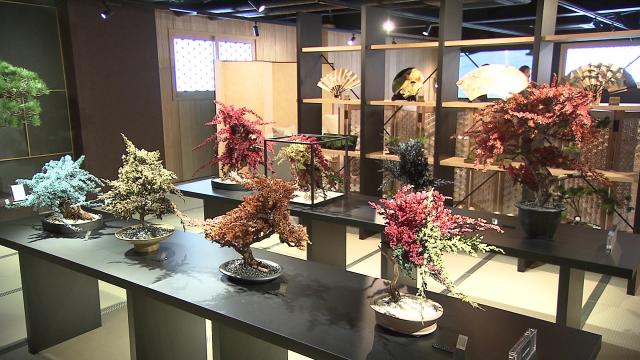 SASARU Hokkaido | 【新スポット】オシャレ空間“和モダン”ショールーム