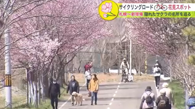 札幌　北広島　サイクリング　新球場　自転車