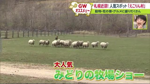 えこりん村　牧場ショー