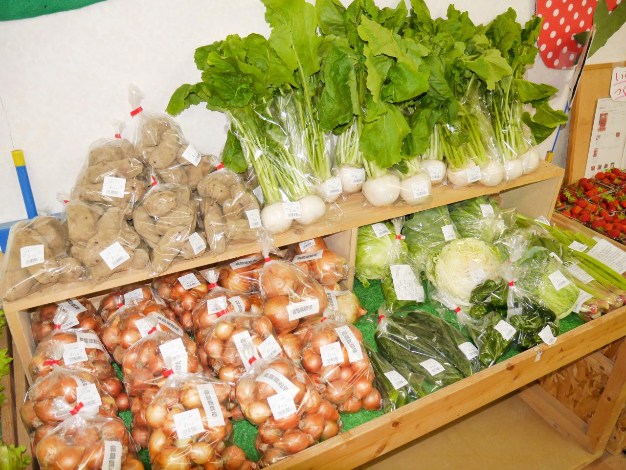 野菜　直売所　しのろとれたてっこ　北区　札幌　ドライブ　JAさっぽろ　道産食材