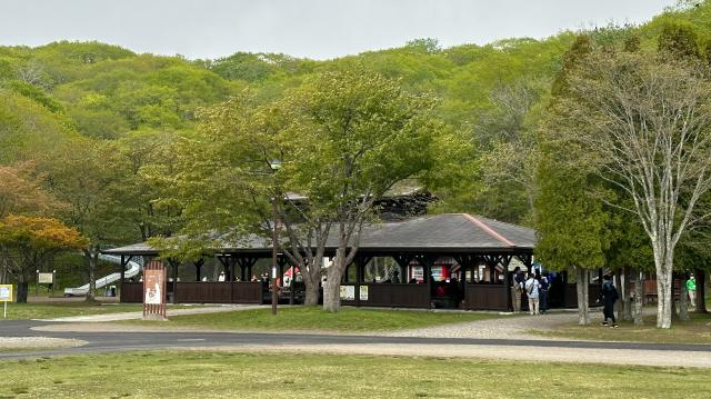 バーベキュー　公園　子連れ