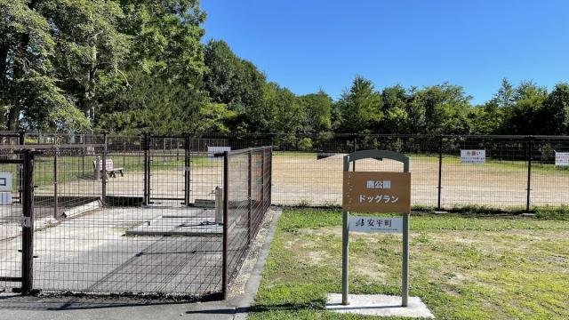 北海道　ドッグラン　キャンプ場　安平