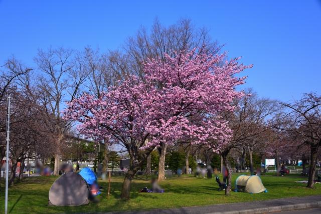 農試公園