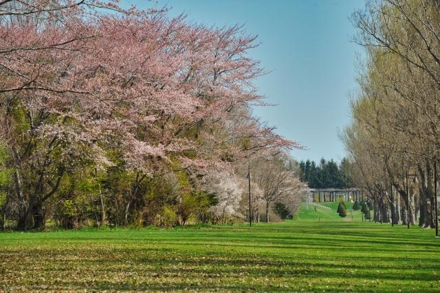 前田森林公園
