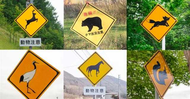 SASARU Hokkaido | 驚き！こんなところに「クマ出没注意」“熊